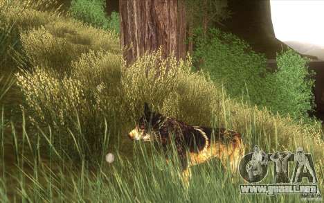 Wild Life Mod 0.1b para GTA San Andreas