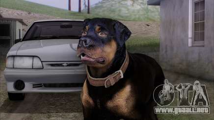 Rottweiler from GTA 5 para GTA San Andreas