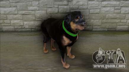 Rottweiler from GTA 5 para GTA San Andreas