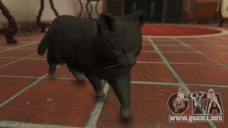 GTA 5 Gray House Cat