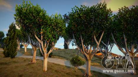 V To SA - Vegetation Style (Alpha) para GTA San Andreas