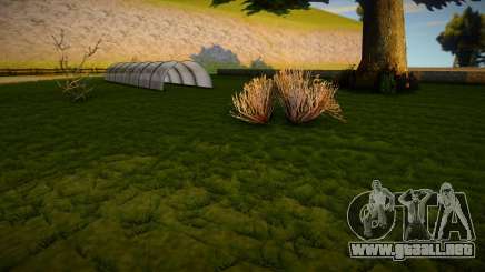 Next Gen Grass Summer Version (Medium) para GTA San Andreas