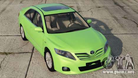 Toyota Camry (XV40) Pastel Green