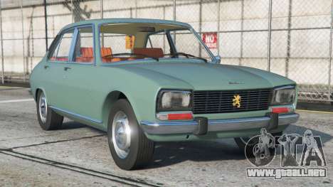 Peugeot 504 Bay Leaf