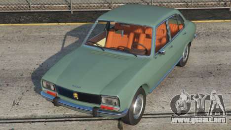 Peugeot 504 Bay Leaf