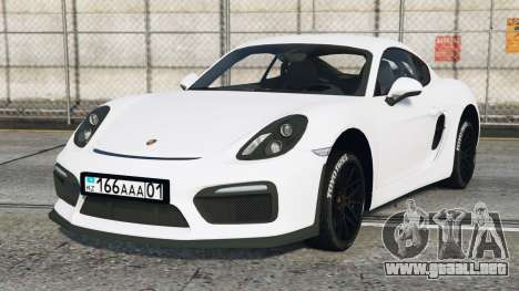 Porsche Cayman GT4 Gallery