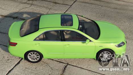 Toyota Camry (XV40) Pastel Green