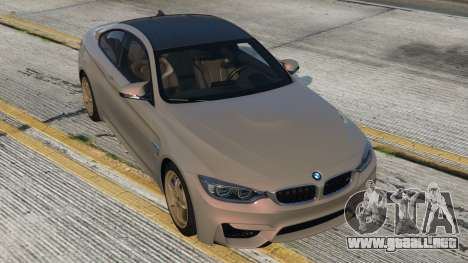 BMW M4 Quartz