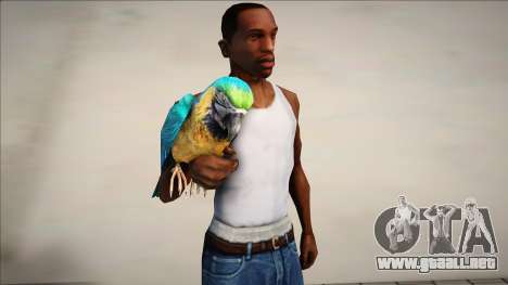 Loro para GTA San Andreas