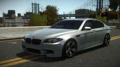 BMW M5 Moligro