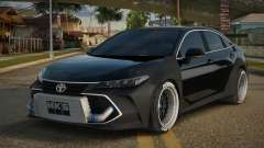 Toyota Avalon Liechic