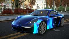 Porsche Cayman Ratria S9