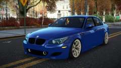 BMW M5 E60 Roga
