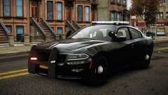 Dodge Charger Winik