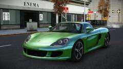 Porsche Carrera GT Wayegunu