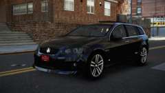 Holden VE Commodore Raxu