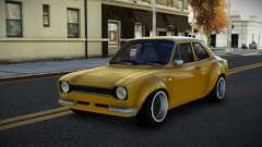 Ford Escort Bagcobipu