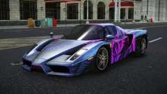 Ferrari Enzo Chinva S12