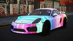 Porsche Cayman GT Venler S14