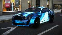 Bentley Continental SS Anjary S14